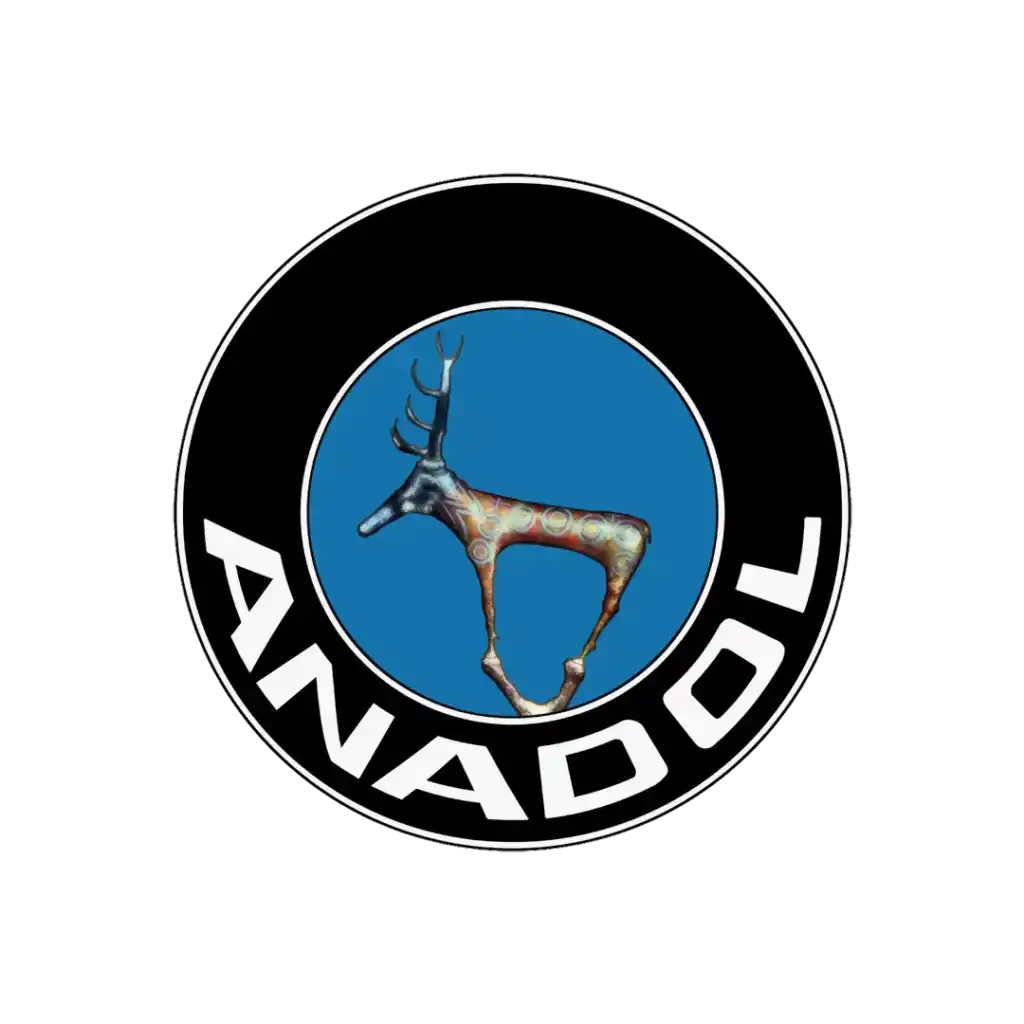 anadollogo Yıldız Car System Yıldız Car System Anadol Servisi